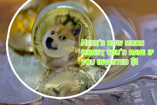 1000 in dogecoin