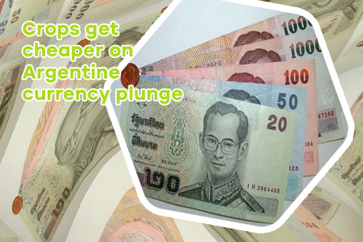 Bat currency