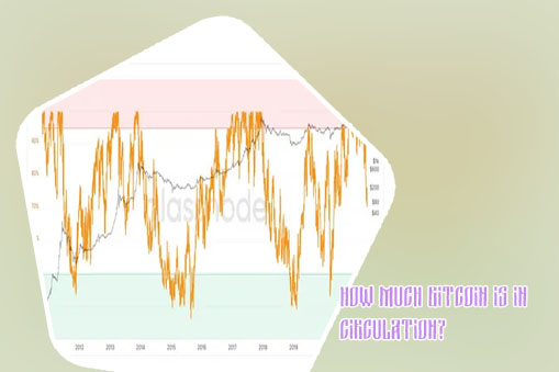 Bitcoin one percent all circulating finds