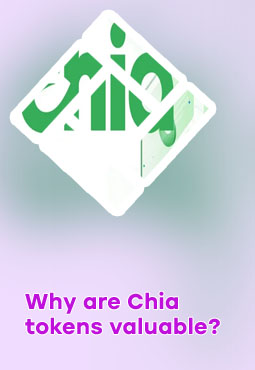 Chia crypto value