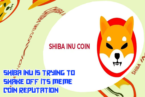Is shiba on cryptocom