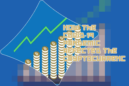 Rise crypto