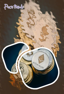 Safe dollar crypto price
