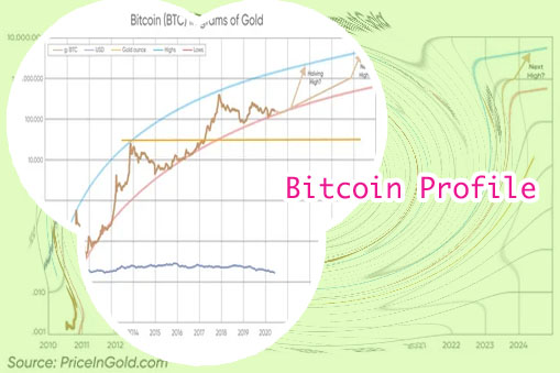 What is bitcoin price