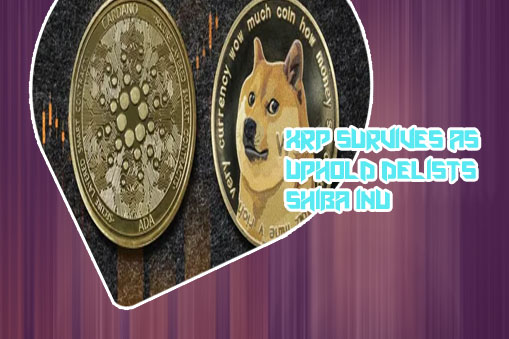 What is the price of dogecoin right now